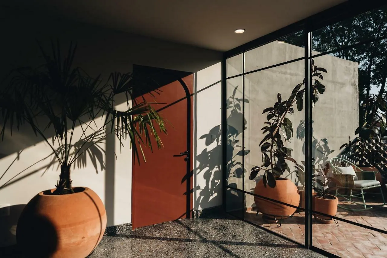 Casa Ixaya By Barrio Mexico Hotel Guadalajara Mexico